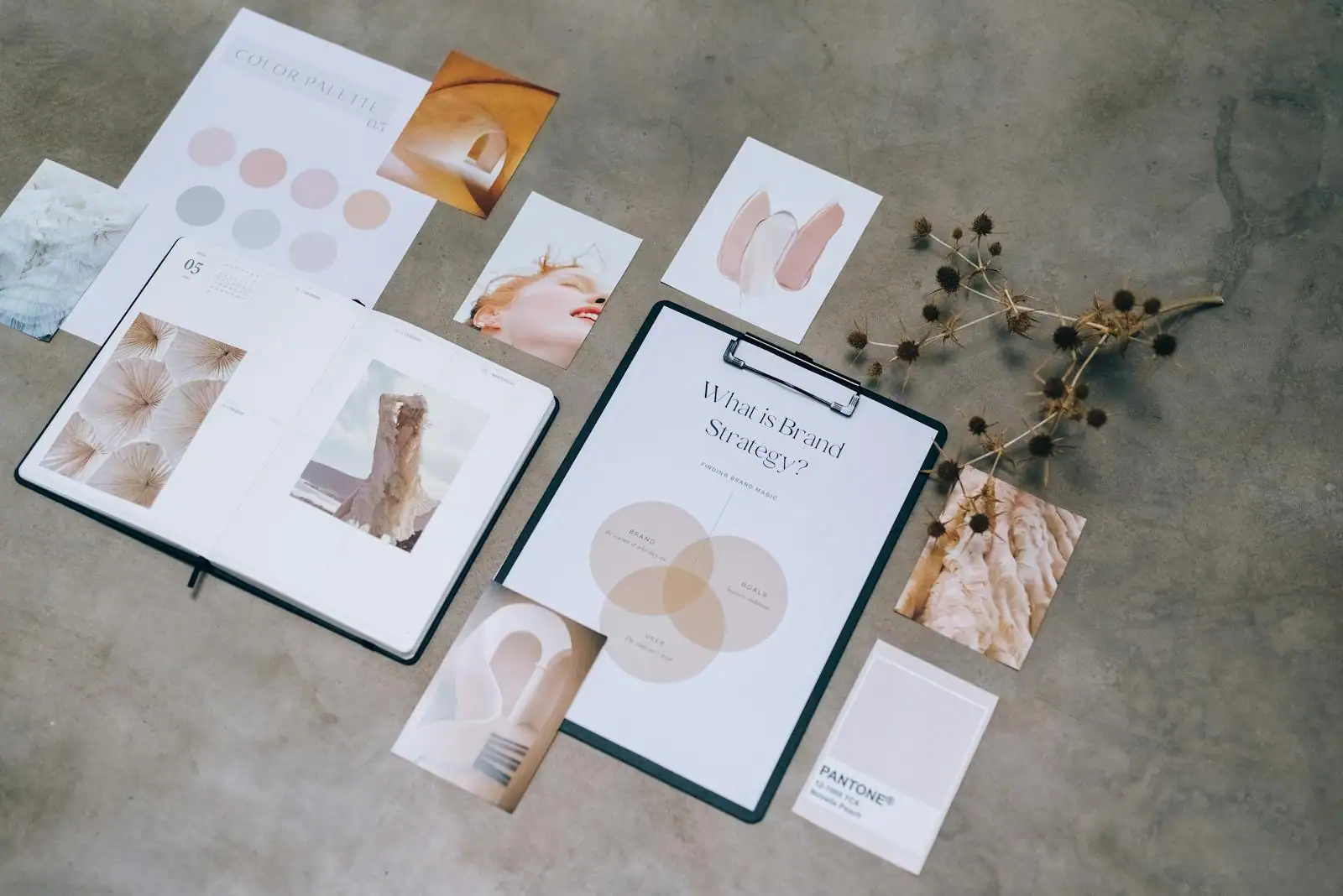 Designer travaillant sur une charte graphique avec nuancier de couleurs et maquettes