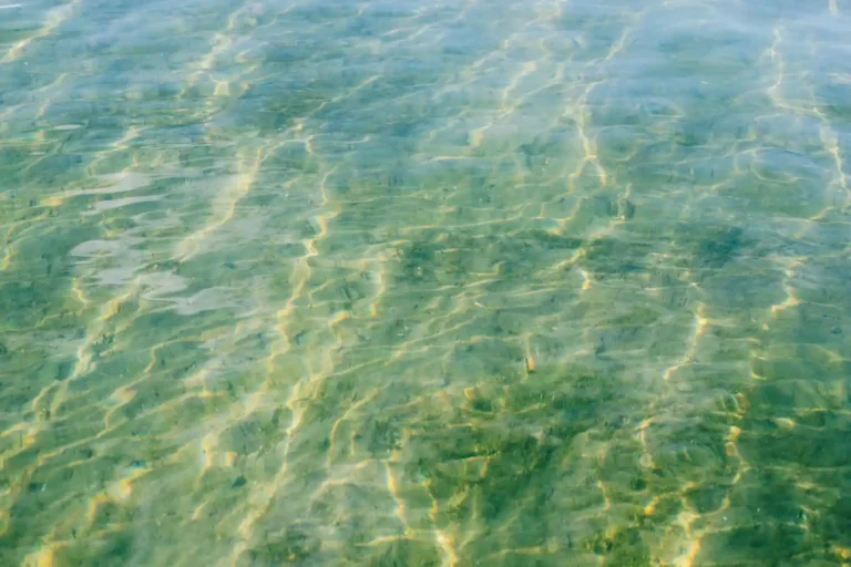 Gestion de l&rsquo;eau : enjeux et leviers à chaque échelle