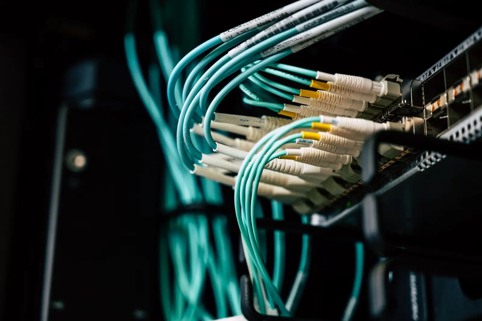Câbles réseau turquoise et blancs raccordés aux ports d'un équipement informatique, dans une baie sombre.